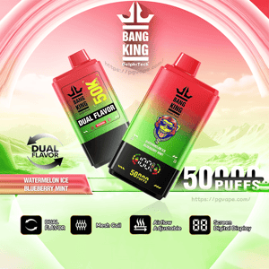 Two red-to-green gradient Bang King disposable vape devices, one labeled Dual Flavor and the other showing a colorful lion logo and a digital puff counter, set on a pink-and-green stylized background with text noting Watermelon Ice and Blueberry Mint flavors and icons for dual flavor, mesh coil, adjustable airflow and digital screen.