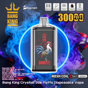 Black Bang King disposable vape device with a colorful rooster illustration and '300 PUFFS' label centered inside a glowing blue ring, surrounded by swirling blue and purple smoke and accompanied by the brand logo and feature icons (mesh coil, Type‑C, 650mAh).