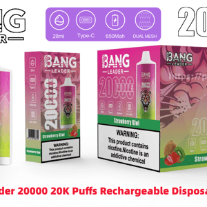 Product display of Bang Leader 20,000-puff rechargeable disposable vape and packaging in strawberry kiwi flavor with pink-green gradient and tiger logo, prominent 