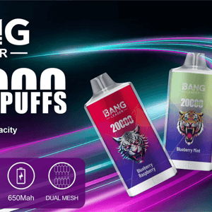 Advertisement showing three tilted Bang Leader disposable vape devices with tiger artwork and colorful gradient labels (Blueberry Raspberry, Blueberry Mint, Strawberry Kiwi), bold text reading 20000 PUFFS, and icons noting 28ml e-liquid, Type‑C charging, 650mAh battery and dual mesh, set against a neon swirl background.