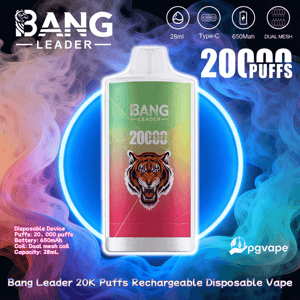 White-cased disposable vape with a green-to-red center panel showing a roaring tiger, 'Bang Leader' branding and '20,000 puffs' text, set against swirling blue, purple and orange smoke with icons indicating 28ml, Type-C, 650mAh and dual mesh.