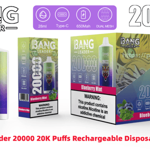 Bang Leader rechargeable disposable vape packaging showing a tall cylindrical device and boxed packs labeled 20000 puffs Blueberry Mint with a roaring tiger logo, icons for 28ml, Type‑C, 650mAh and Dual Mesh, and a prominent nicotine warning panel.