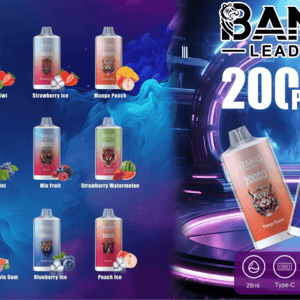 Promotional banner for BANG Leader 20000 puffs disposable vapes showing a grid of illustrated flavor cans on a purple‑blue smoky background and a neon stage on the right with two oversized vape cans, a large “20000 PUFFS” headline and icons indicating 28ml, Type‑C, 650mAh and dual mesh.