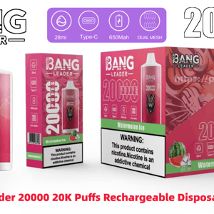 Pink Bang Leader disposable vape and boxed packaging displaying '20,000 puffs' branding with a tiger emblem, watermelon ice flavor art, Type-C/28 ml/650 mAh/dual mesh icons, and a nicotine warning.