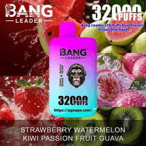 Colorful pink-to-teal disposable vape device labeled BANG LEADER and 32,000 PUFFS centered over splashes of strawberry, watermelon, kiwi, passion fruit and guava with promotional text and a product URL.