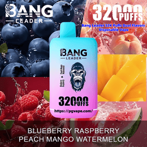 Colorful advertisement showing a gradient turquoise-to-pink Bang Leader disposable vape device labeled 32,000 puffs centered over close-up images of blueberries, peaches, raspberries, mango and watermelon, with prominent '32,000 PUFFS' text and flavor names listed at the bottom.