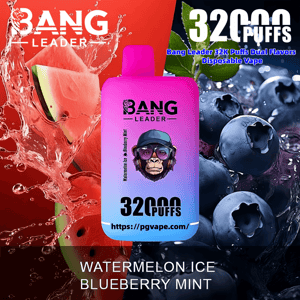 Centered bright pink-to-blue gradient disposable vape labeled BANG LEADER and 32000 PUFFS, set against a split background of splashing watermelon on the left and icy blueberries with mint on the right, with the flavor text WATERMELON ICE BLUEBERRY MINT below.