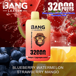 Yellow-to-red disposable vape device labeled BANG LEADER 32000 PUFFS centered on a background of splashing watermelon, strawberries, blueberries and mango with flavor text listing Blueberry Watermelon Strawberry Mango and a website link.