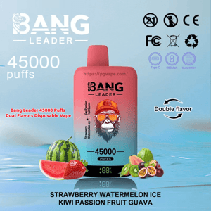 Pink-to-teal gradient Bang Leader disposable vape device with a bearded monkey logo centered on the packaging, surrounded by watermelon, strawberry, kiwi, passion fruit and guava, labeled 45000 puffs and double flavor with flavor text 'Strawberry Watermelon Ice / Kiwi Passion Fruit Guava' and certification icons.