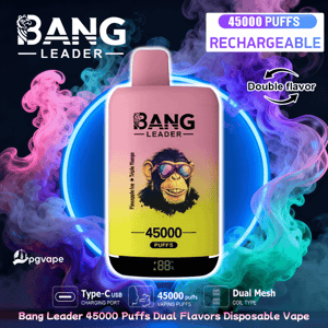 Pink-to-yellow gradient Bang Leader rechargeable disposable vape device centered against a neon blue ring and swirling pink, purple and teal vapor, with prominent 45000 PUFFS and RECHARGEABLE labels and icons for Type-C USB charging, dual-mesh coil and dual flavors.