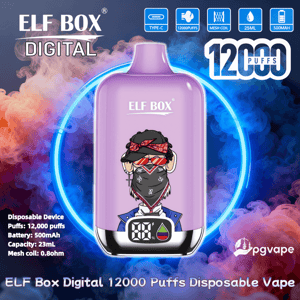 Purple ELF BOX Digital disposable vape device with a cartoon bandana-faced character, front digital puff counter and icons noting Type-C charging, 12,000 puffs, mesh coil, 25 mL capacity and 500 mAh battery, set against a blue and orange smoky background with product name and pgvape logo.
