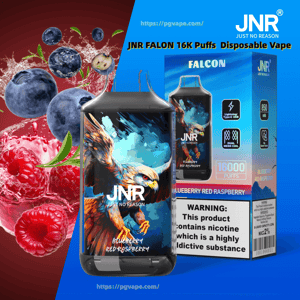 Disposable JNR Falcon vape device and box labeled Blueberry Red Raspberry and 16,000 puffs, featuring an illustrated eagle on the device, splashing blueberries and raspberries in the background and a visible nicotine warning on the packaging.