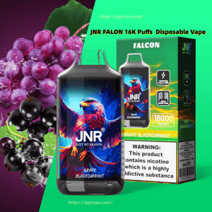 A JNR Falcon disposable vape device and matching box with vibrant eagle artwork and 'JNR' branding, labeled 'Grape Blackcurrant' and '16,000 puffs,' shown alongside clusters of grapes and blackcurrants and a nicotine warning label.