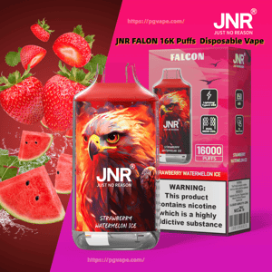 Pink JNR Falcon disposable vape and matching box with fiery eagle artwork, labeled Strawberry Watermelon Ice, surrounded by strawberries and watermelon slices and showing a nicotine warning and 