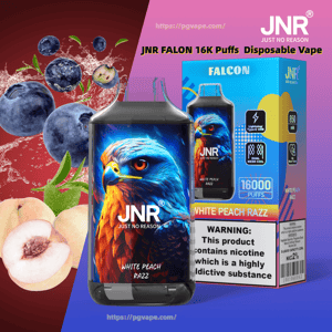 Disposable JNR Falcon vape device with bold blue-and-orange hawk artwork on the pod in front of a matching box labeled 
