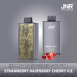 Two metallic rectangular disposable vape devices side by side, one with an ornate gold embossed panel and the other in gray branded “JNR MEGA-BOX Strawberry Raspberry Cherry Ice” with small strawberry, raspberry and cherry illustrations against a gray gradient background.