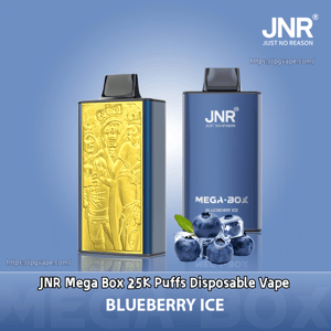 Two JNR Mega Box disposable vapes on a blue background—one metallic blue unit labeled JNR Mega Box Blueberry Ice and one with an ornate gold embossed panel, accompanied by blueberries and ice cubes and the JNR logo in the corner.
