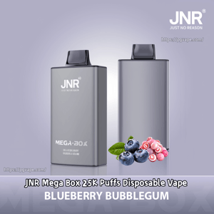 Two rectangular metallic-gray disposable vape devices with black mouthpieces standing side by side against a soft purple background, accompanied by blueberries and pink bubblegum candies and labeled JNR Mega Box Blueberry Bubblegum.