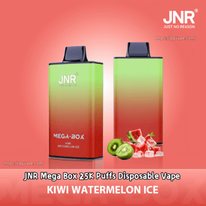 Two rectangular JNR Mega Box disposable vapes in a green-to-red gradient with black mouthpieces set against a coral background, shown with sliced kiwi, watermelon pieces and ice cubes and labeled KIWI WATERMELON ICE.