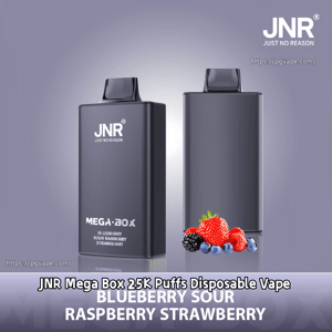 Two matte charcoal JNR Mega Box disposable vapes displayed front and back on a soft purple gradient background, featuring the JNR logo, flavor text 'Blueberry Sour Raspberry Strawberry' and a small cluster of berries at the base.
