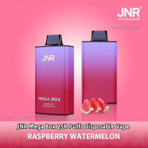 Two gradient purple-to-pink rectangular JNR Mega Box disposable vapes standing on a pink background labeled Raspberry Watermelon, with watermelon slices and raspberries in front and brand name and URL overlays.