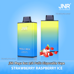 Two rectangular JNR Mega Box disposable vapes with a yellow-to-blue gradient and black mouthpieces stand side by side above scattered strawberries and ice cubes, with branding and the flavor text 'JNR Mega Box 25K Puffs Disposable Vape — Strawberry Raspberry Ice'.