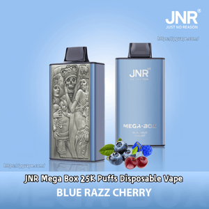 Two rectangular blue JNR Mega Box disposable vape devices on a light blue background — one with a decorative silver engraved panel and the other showing JNR branding and MEGA·BOX text, with blueberries and cherries in front and the flavor label 'BLUE RAZZ CHERRY' below.
