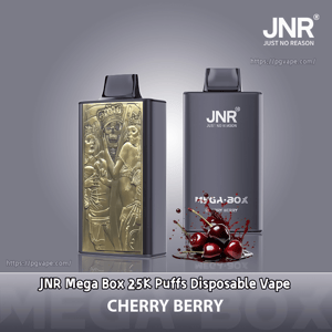 Two JNR Mega Box disposable vapes side by side—one with a decorative gold embossed front panel and the other matte gray branded 'JNR' with cherries splashing and a 'Cherry Berry' flavor label.