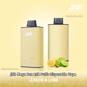 Two pale-yellow JNR Mega Box disposable vape devices on a soft yellow background with lemon and lime halves in front and branding text indicating JNR Mega Box 25K Puffs, Lemon & Lime.