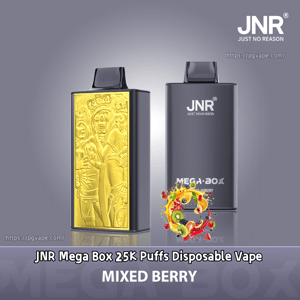 Two rectangular JNR Mega Box disposable vape devices on a gray background—one with a gold embossed decorative panel and the other in matte gray with JNR branding—paired with a colorful mixed-berry fruit swirl and the label Mixed Berry.
