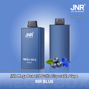 Two metallic blue rectangular JNR Mega Box disposable vapes standing side by side on a blue gradient background, one showing the front 'JNR' and 'MEGA·BOX MR.BLUE' branding and the other the plain back, with a small cluster of blueberries and leaves at their base.