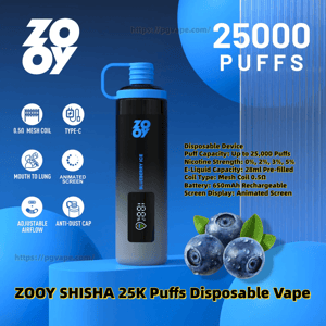 Blue-gradient ZOOY Shisha disposable vape bottle with an anti-dust cap and small animated display shown beside blueberries and large “25,000 puffs” text, with icons and text noting features like 0.5Ω mesh coil, Type‑C charging, 28ml prefilled e-liquid, adjustable airflow and a 650mAh rechargeable battery.