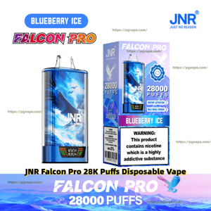 Blue JNR Falcon Pro disposable vape and matching box displaying 'Blueberry Ice' flavor with winged bird artwork, '28,000 puffs' and brand logos, plus a visible nicotine warning panel.