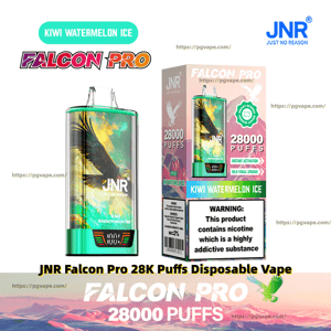 JNR Falcon Pro Kiwi Watermelon Ice disposable vape and its retail box showing colorful falcon artwork, teal-green accents, 'Falcon Pro' branding with '28,000 puffs' claim and a nicotine warning label.