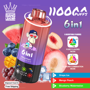 Promotional image of a metallic red 6-in-1 Bang Leader disposable vape with a cartoon ape logo and 'Mango Peach' label, surrounded by peach, watermelon, blueberries, mango, grapes and ice cubes, showing '11000 puffs,' '6 adjustable flavors' icons and a 'Free Shipping' badge.