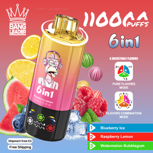 Colorful gradient disposable vape device labeled “6in1” and “11000 puffs” with a cartoon monkey wearing headphones, shown among lemon slices, watermelon, raspberries, blueberries and ice cubes, plus icons indicating six adjustable flavor modes and a Bang Leader crown logo.