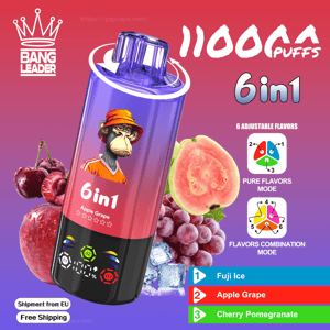 Promotional graphic showing a purple-to-black disposable vape device labeled '6in1' and '11000 puffs', with Bang Leader crown logo, surrounding fruit (guava, grapes, apple, cherries), icons for six adjustable flavors and a flavor list including Fuji Ice, Apple Grape, and Cherry Pomegranate.