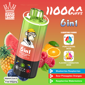 Advertising image of a green-to-pink gradient 6‑in‑1 disposable vape device branded Bang Leader featuring a cartoon monkey in a yellow beanie, large “11000 puffs” text, surrounding fruits (pineapple, watermelon, orange, raspberries, blueberries), icons for six adjustable flavor modes, and badges reading Shipment from EU and Free Shipping.