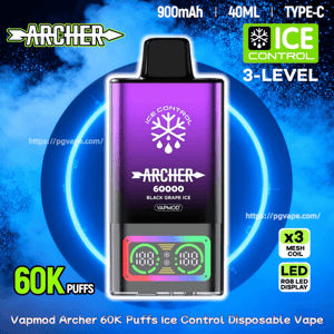 Front-view purple Vapmod Archer disposable vape device labeled 'Archer 60000 Black Grape Ice' with a small RGB LED display, set against an icy blue background advertising Ice Control 3-level, 60K puffs, 900mAh, 40ml and Type-C features.