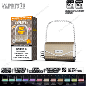 Handbag-shaped VAPRIVÉE disposable vape with a gold mesh-textured body, silver chain handle and VAPRIVÉE nameplate shown next to its boxed packaging—box displays a nicotine warning, flavor swatches and labels noting 50K/30K puffs, dual mesh coils, adjustable airflow and a 900 mAh battery.