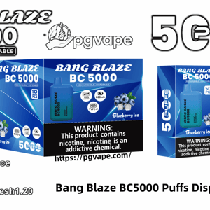 Product display showing Bang Blaze BC5000 rechargeable disposable vape and packaging in blue 'Blueberry Ice' design, labeled 5000 puffs, 600mAh battery and mesh coil specs, with large nicotine warning and pgvape branding.