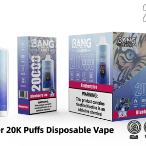 Product packaging and device for Bang Leader Blueberry Ice 20,000-puff disposable vape showing a blue-purple vape device with a colorful tiger graphic, a single flavor box and a 10-piece display box with nicotine warning text, blueberry image, and icons for 28ml, Type-C, 650mAh battery and dual mesh.