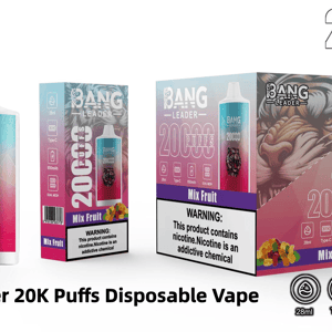 Packaged product shot of a Bang Leader '20,000 Puffs' Mix Fruit disposable vape — a pink-to-teal gradient device with a roaring tiger logo, shown alongside individual and retail boxes displaying the Mix Fruit label, nicotine warning, and icons for 28ml, Type‑C, 650mAh battery and dual mesh.