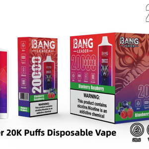 Bang Leader 20,000-puff disposable vape and packaging shown: a white-topped red-to-purple device with a snarling tiger graphic next to individual and 10‑pack boxes labeled Blueberry Raspberry with a nicotine warning strip and icons for 28ml, Type‑C, 650mAh battery and dual mesh.