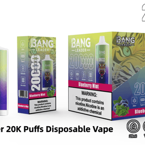 Bang Leader disposable vape and retail box set showing a green-to-purple device featuring a roaring tiger logo and '20000 puffs' label, plus Blueberry Mint packaging with nicotine warning and icons for 28ml, Type-C, 650mAh and dual mesh.