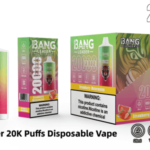 Product display showing a Bang Leader 20,000-puff disposable vape device and matching retail boxes in green-to-pink gradient labeled Strawberry Watermelon, featuring a roaring tiger logo, large “20,000 puffs” text, a nicotine warning label, and icons for 28ml, Type-C charging, 650mAh battery and dual mesh.