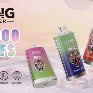 Advertisement for Bang Leader disposable vapes showing the brand logo and large '20000 PUFFS' text, three colorful devices with tiger illustrations (one labeled Blueberry Hint and another Mango Peach), set on a pastel dreamlike landscape with product feature icons for 28ml, Type‑C, 650mAh and dual mesh along the bottom.
