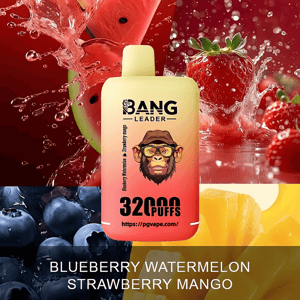 Yellow-to-red gradient disposable vape device labeled BANG LEADER and 32000 PUFFS set against splashes of watermelon, strawberries, blueberries and mango with flavor text at the bottom.