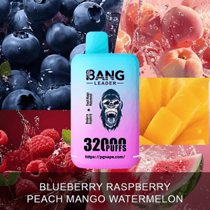 Gradient blue-to-pink disposable vape labeled BANG LEADER with 32000 PUFFS printed on it, centered over a collage of blueberries, raspberries, peaches, mango slices and watermelon, with the fruit flavors listed across the bottom.