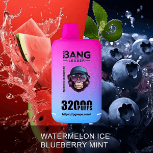 A pink-to-blue gradient disposable vape device labeled BANG LEADER and 32000 PUFFS centered between splashing watermelon on the left and water-drenched blueberries with mint leaves on the right, with the flavor name WATERMELON ICE BLUEBERRY MINT shown at the bottom.